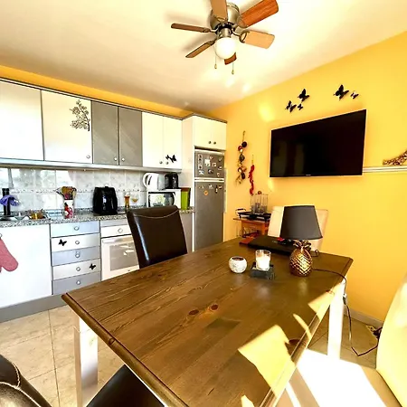 Welooveyou Parrots コスタ・カルマ