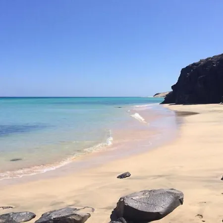 Welooveyou Parrots *