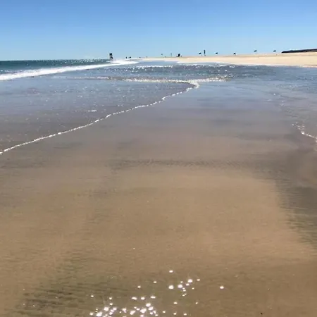 Welooveyou Parrots コスタ・カルマ