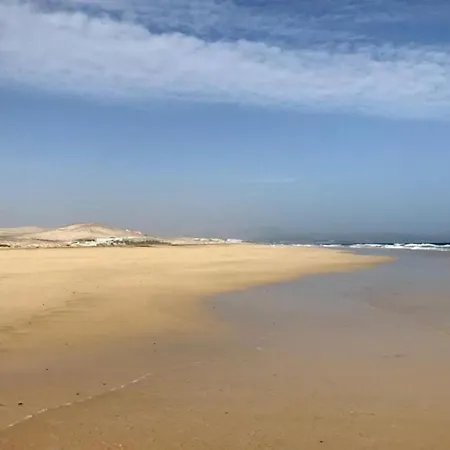 Welooveyou Parrots Apartment