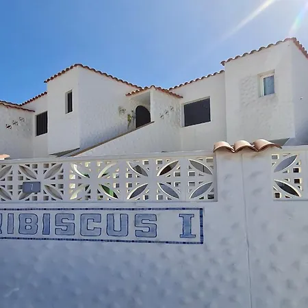 Welooveyou Parrots *