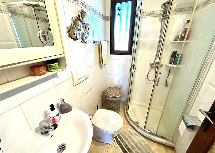 Welooveyou Parrots Costa Calma