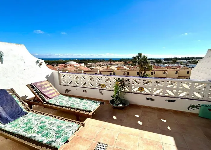 Welooveyou Parrots Daire