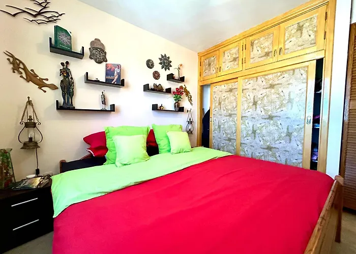 Welooveyou Parrots Daire Costa Calma