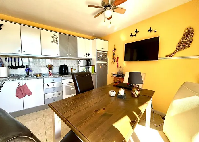 Welooveyou Parrots Costa Calma