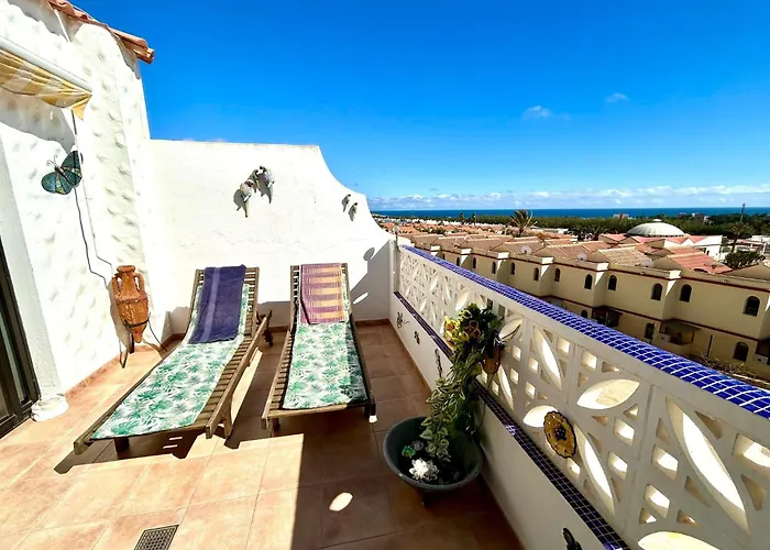 Daire Welooveyou Parrots Costa Calma