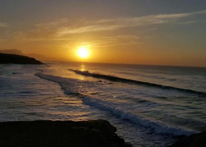 Daire Welooveyou Parrots Costa Calma