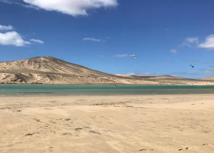 Welooveyou Parrots * Costa Calma