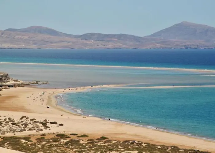 Welooveyou Parrots Daire