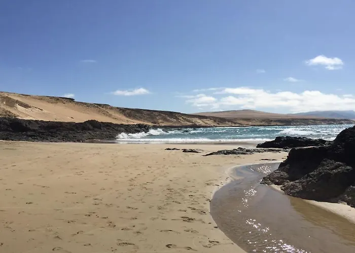 Daire Welooveyou Parrots