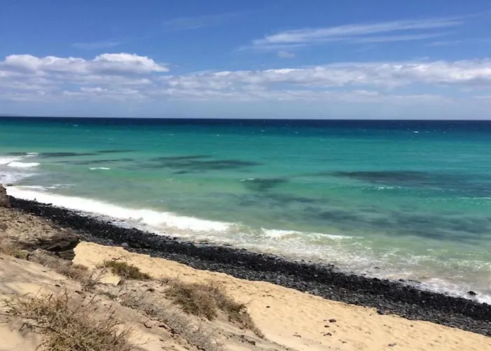 Welooveyou Parrots Daire Costa Calma