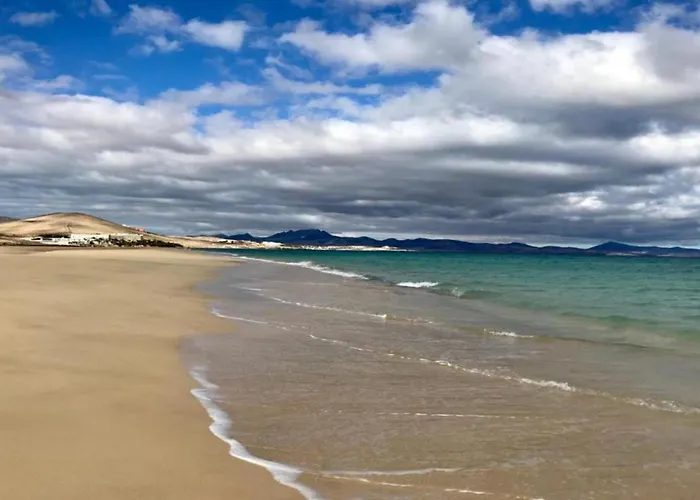 Daire Welooveyou Parrots Costa Calma