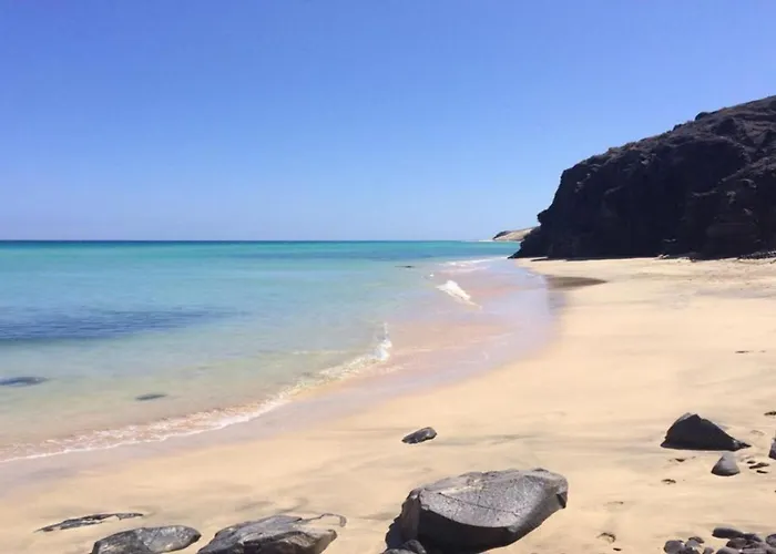 Welooveyou Parrots *