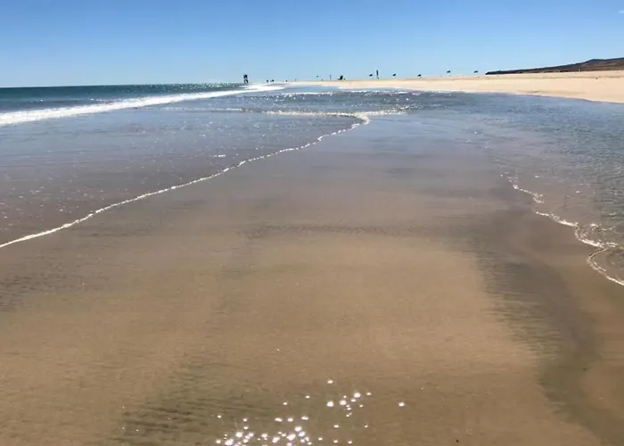 Welooveyou Parrots Costa Calma