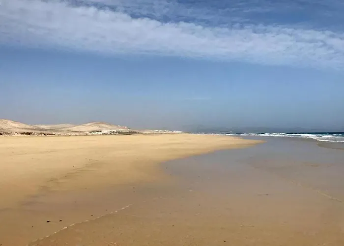 Welooveyou Parrots Daire