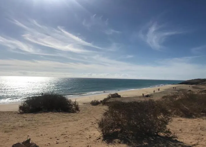 Daire Welooveyou Parrots