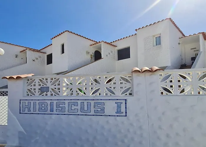 Welooveyou Parrots *