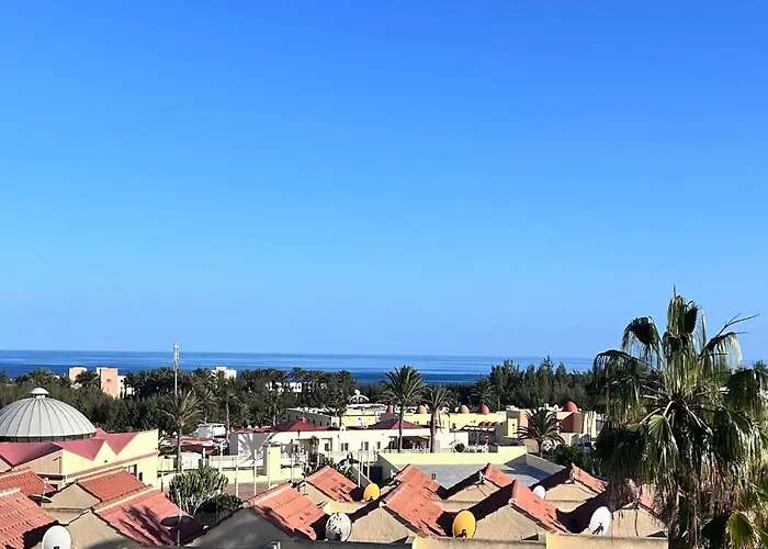 Daire Welooveyou Parrots