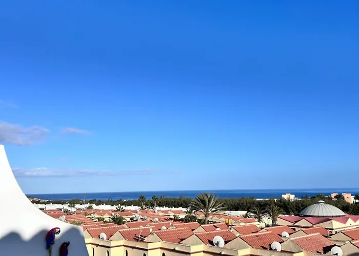 Welooveyou Parrots Daire *