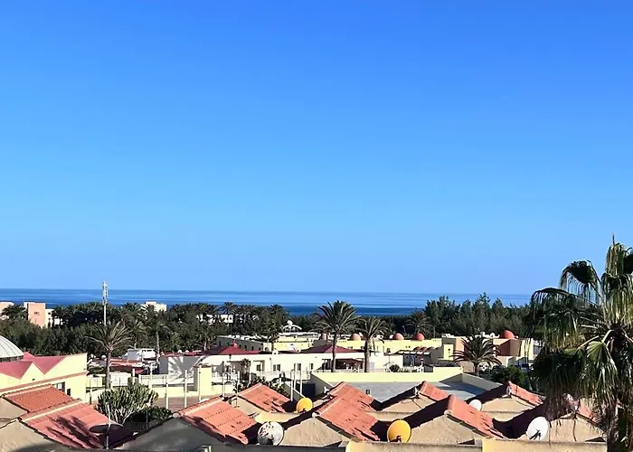 Welooveyou Parrots Daire Costa Calma