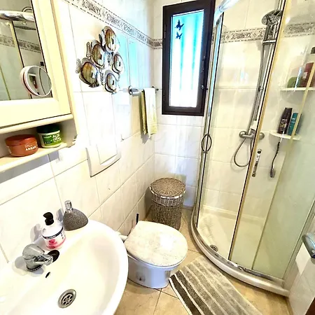 Welooveyou Parrots Costa Calma