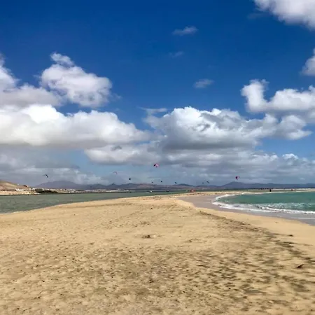 Welooveyou Parrots Apartmán