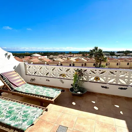 Welooveyou Parrots Appartement