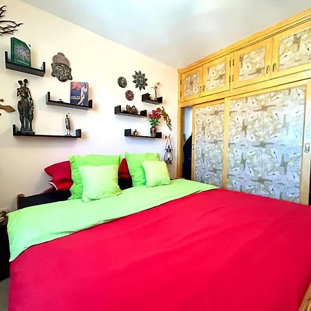 Welooveyou Parrots Appartement Costa Calma