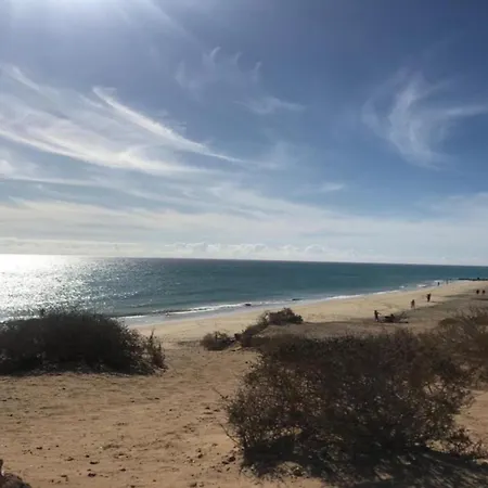 Appartement Welooveyou Parrots