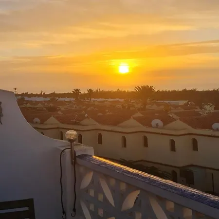 Welooveyou Parrots Costa Calma