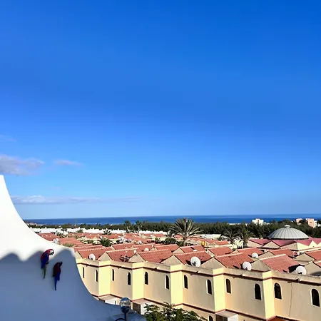 Welooveyou Parrots Appartement *